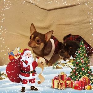 Meet your Posher, Julye